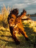IMG-20240114-WA0004.webp