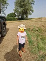 20230906_170116.webp