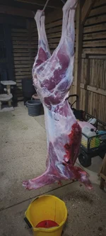 IMG-20240127-WA0010.webp