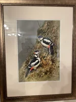IMG_2259.jpeg