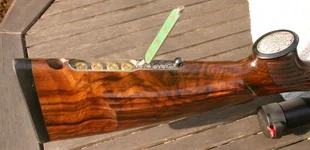 Blaser 1 022.webp