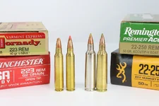 best-coyote-cartridge-223-vs-22-250-1-1200x800.webp