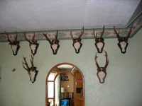 Roe Trophies. 1.webp