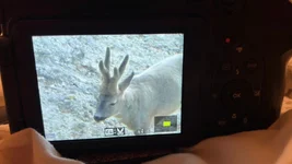 IMG-20230316-WA0113.webp