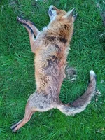 IMG-20240426-WA0000.webp