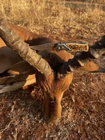 JAK Africa 2.webp