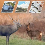 WIN FOR FREE! (600 x 600 px).png