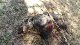 20151120_115714.webp