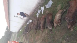 20151120_172001.webp