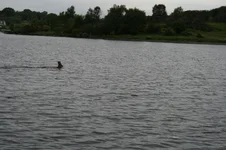 Picture 040.webp