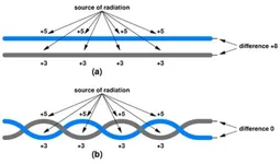 1716888527100.webp 1716888527100.webp