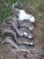 20240612_101408.webp