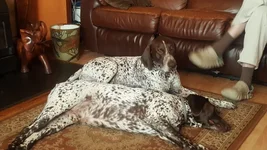 WhatsApp Image 2024-07-16 at 18.18.20_82b52f71.jpg