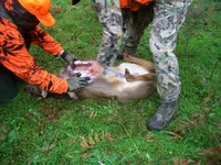 4 082.webp 4 082.webp