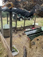 IMG_3597.jpeg IMG_3597.jpeg