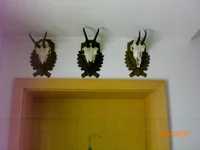 CIMG0906.webp