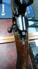 IMG-20240907-WA0004.webp