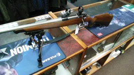IMG-20240907-WA0005.webp