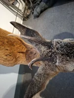 20240914_184127.webp