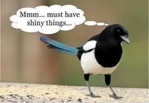 1726724026976.webp