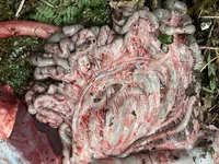 IMG_0695.webp IMG_0695.webp