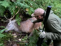 IMG-20241003-WA0005.webp