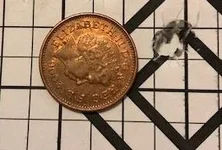 6.5 Creedmoor, 143g ELD-x, 3 shot grp.jpg