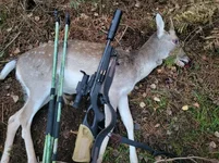 Screenshot Smol.webp