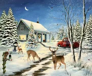 Deer in snow.webp