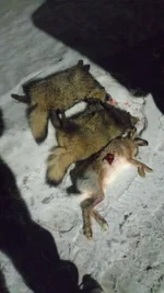IMG-20250222-WA0001.webp