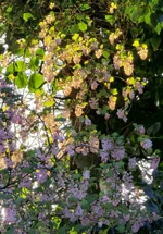 1000014195.webp