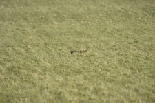 _BPW7352.webp