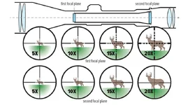 ffp-vs-sfp_lead.webp