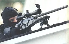 Blaser-R93-Tactical-550x351.webp