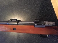 mauser 3.webp