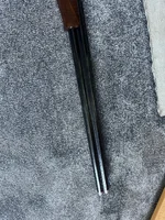 image2.webp