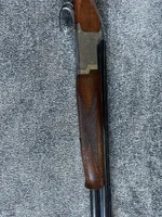 image1.webp