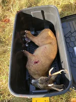 IMG_1779.jpeg IMG_1779.jpeg
