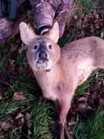 IMG-20191216-WA0001.jpg IMG-20191216-WA0001.jpg