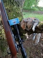 IMG_20250601_201254.webp