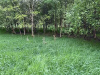 IMG_4363.jpeg