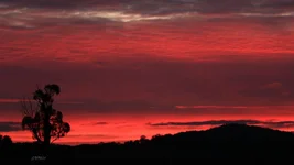 the rise today 2 text.webp