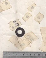 Scan group.webp