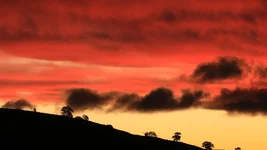 sun arvo set.webp
