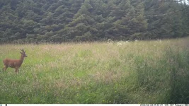 IM_00002 (3).webp
