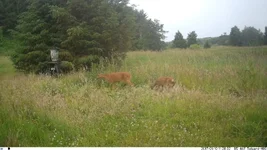 IM_00003.webp