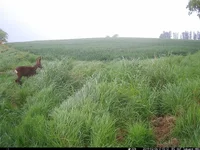 IM_00020.webp
