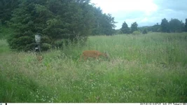 IM_00033.webp