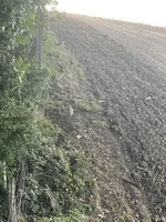 IMG_5454.jpeg IMG_5454.jpeg