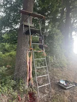 IMG_5456.jpeg IMG_5456.jpeg
